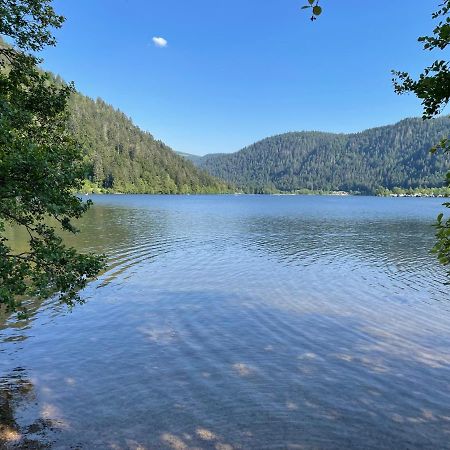 Le Chalet Blanc De Gerardmer Avec Spa Екстер'єр фото