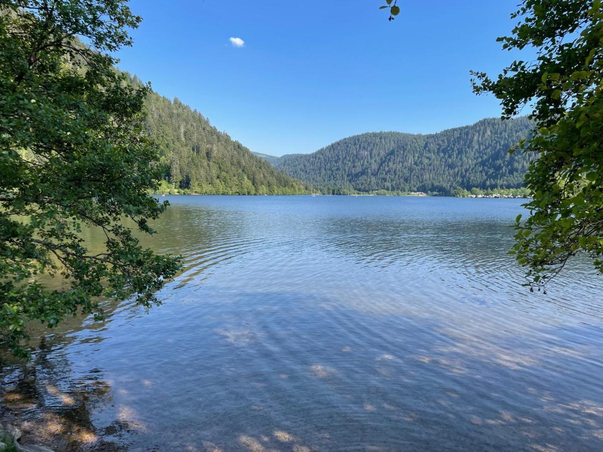 Le Chalet Blanc De Gerardmer Avec Spa Екстер'єр фото